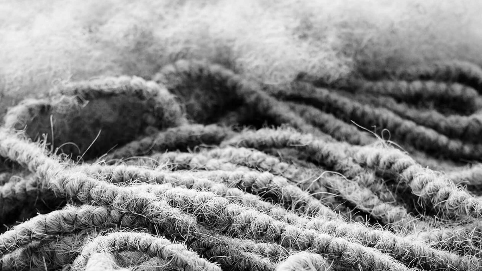 Long and strong a picture showcasing South American horse tail